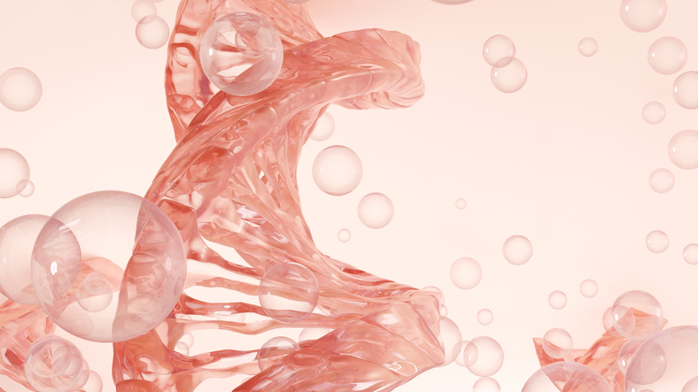 Is collagen important?